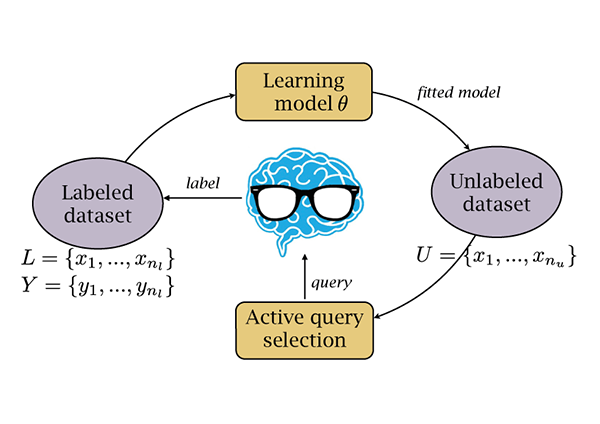 Active learning for image segmentation